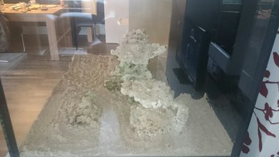 DSC_0364.jpg
