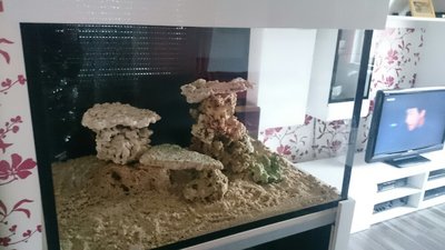 DSC_0002.jpg