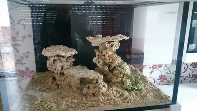 DSC_0001.jpg