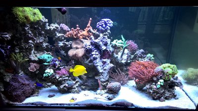 WP_20160102_16_06_56_Pro.jpg