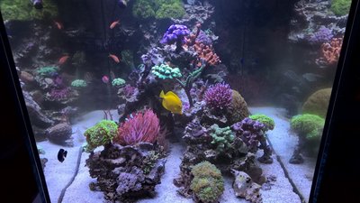 WP_20160102_16_07_35_Pro.jpg