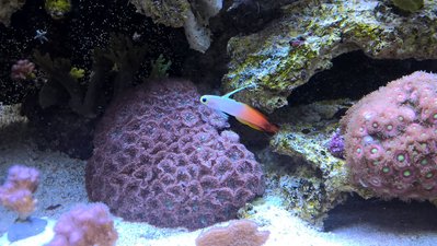 WP_20160101_16_07_12_Pro.jpg