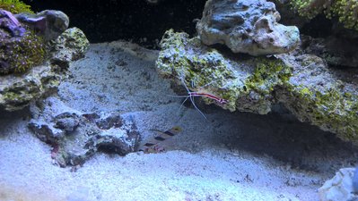 WP_20160101_16_08_38_Pro.jpg