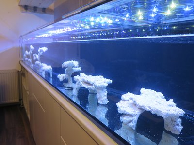 20160102-reeftank-0002.jpg