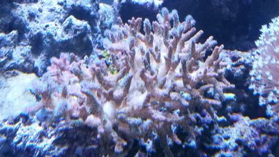 IMG-20160103-WA0003.jpg