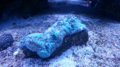 IMG-20160103-WA0004.jpg