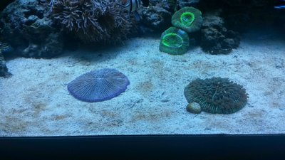 IMG-20160107-WA0000.jpg