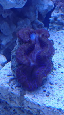 DSC_0016.jpg
