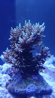 DSC_0021.jpg