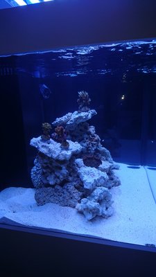DSC_0024.jpg