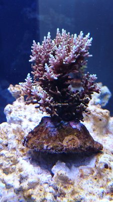 DSC_0033.jpg