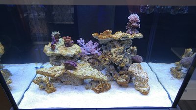 DSC_0042.jpg