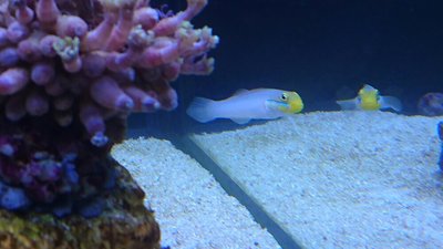 DSC_0067.jpg