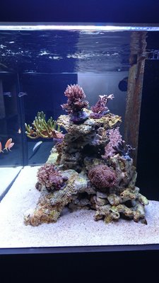 DSC_0106.jpg