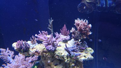 DSC_0151.jpg