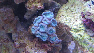 DSC_0154.jpg
