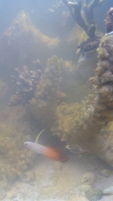 20160202_154503.jpg