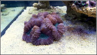 20160202_205056.jpg