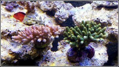 20160202_210248.jpg
