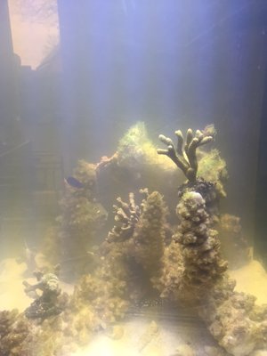 image3.JPG