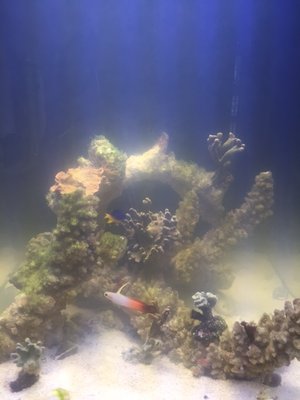 image2.JPG