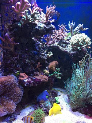 image 2.jpg