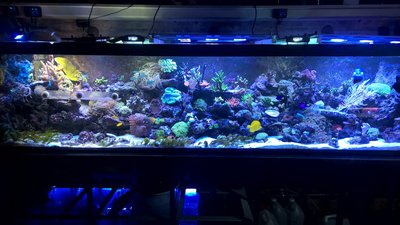 WP_20160205_18_52_36_Pro.jpg