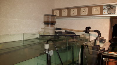 20160224_181116.jpg