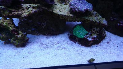 DSC_0228.jpg