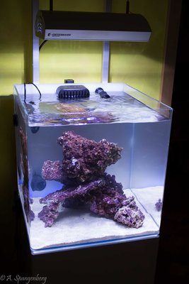 20160226-IMG_3857.jpg