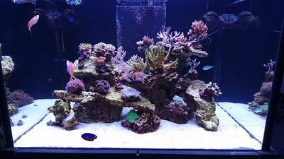 DSC_0248.jpg