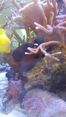 20160304_161341.jpg