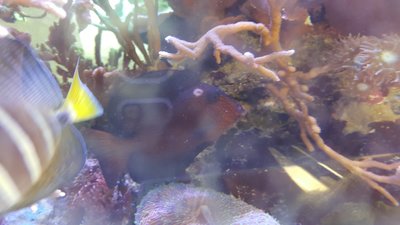 20160304_161536.jpg