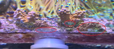 WP_20160306_19_41_38_Pro.jpg