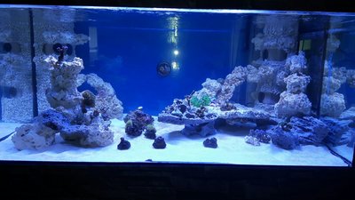 IMG-20160307-WA0007.jpg