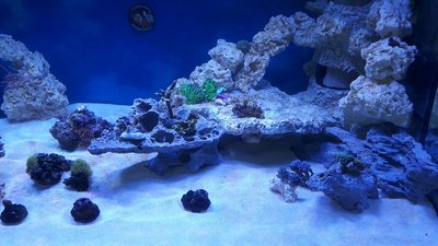 IMG-20160307-WA0006.jpg