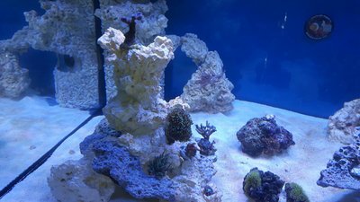 IMG-20160307-WA0005.jpg