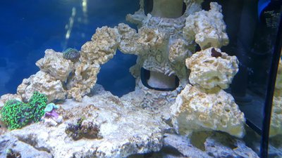 IMG-20160307-WA0012.jpg