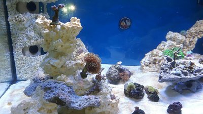 IMG-20160307-WA0013.jpg