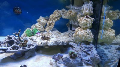 IMG-20160307-WA0014.jpg