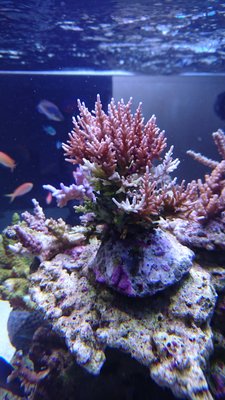 DSC_0282.jpg