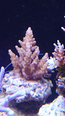 DSC_0283.jpg