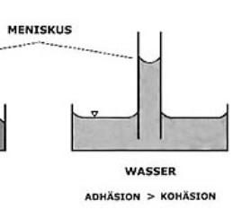 Meniskus.jpg