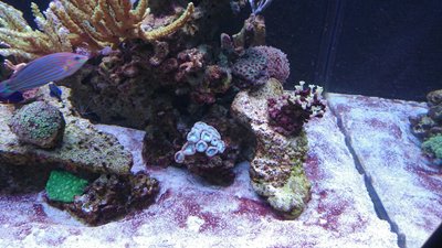 DSC_0319.jpg