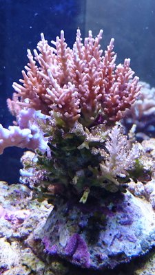 DSC_0320.jpg
