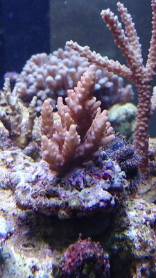 DSC_0321.jpg
