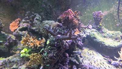 WP_20160316_19_10_24_Pro.jpg