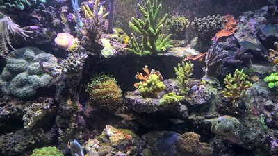 WP_20160316_19_10_19_Pro.jpg