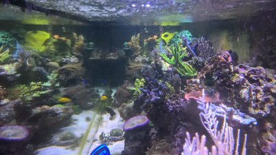 WP_20160318_11_14_49_Pro.jpg
