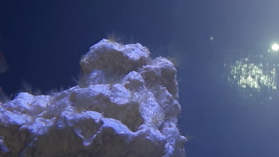 20160320_194552.jpg